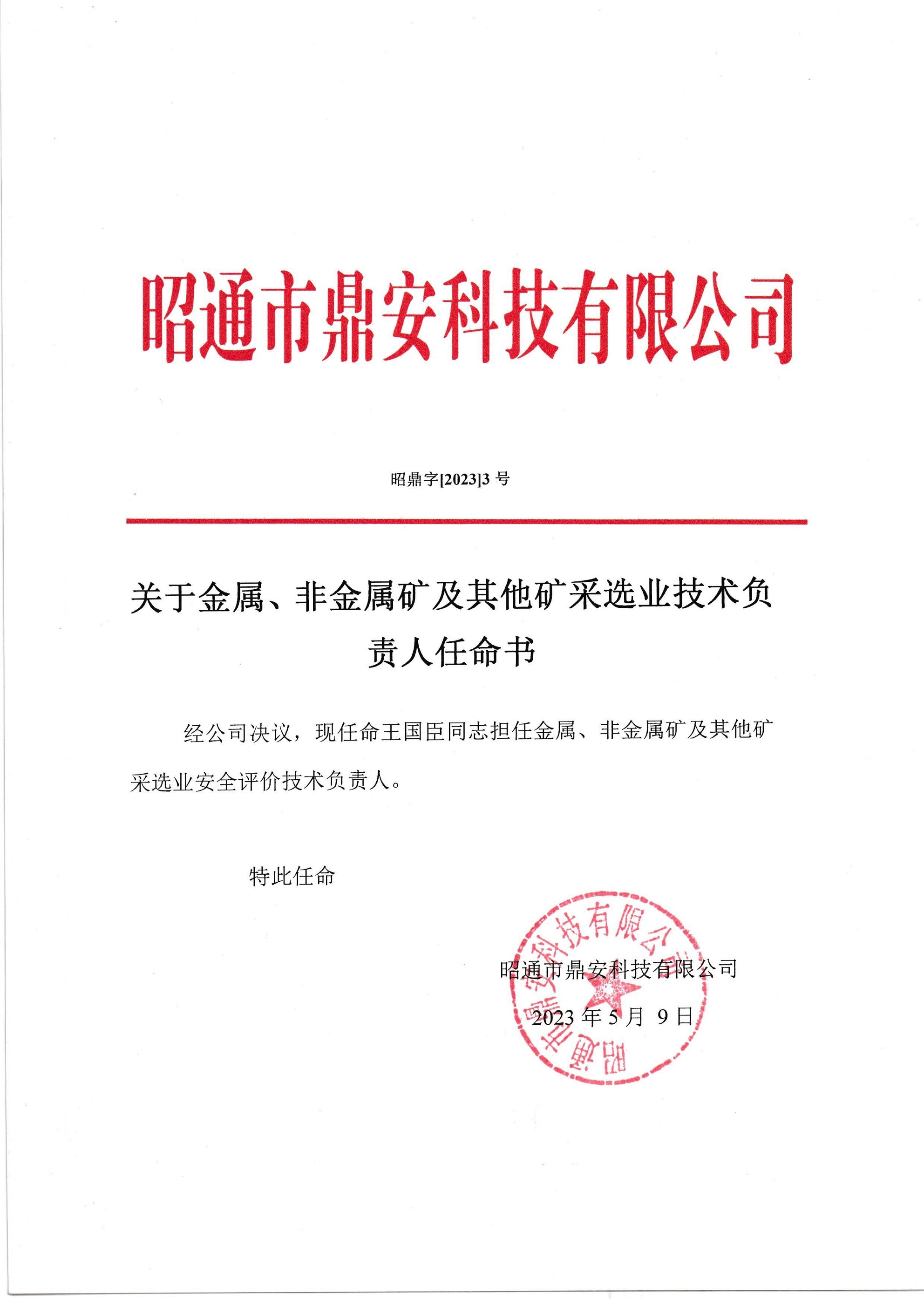 關(guān)于金屬、非金屬礦及其他礦采選業(yè)技術(shù)負(fù)責(zé)人任命書-王國臣_2.jpg
